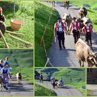 Alpabzug  Stein im Toggenburg