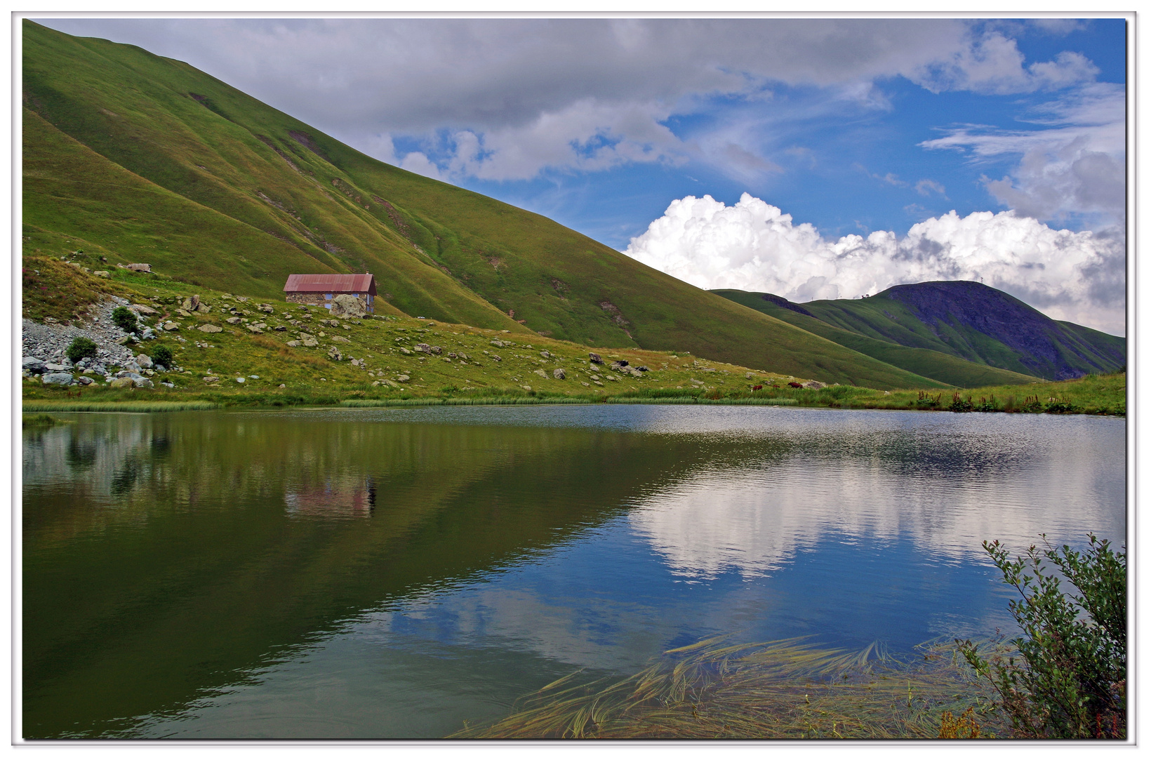 alpages, paysages d ètè en montagne