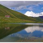 alpages, paysages d ètè en montagne