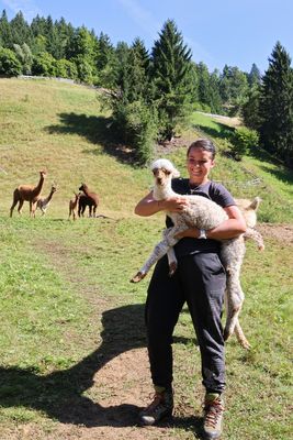 Alpakas im Leschachtal (2025_08_25_4859_ji 1)