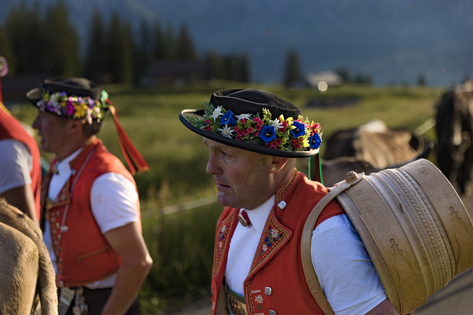 Alpaufzug Toggenburg