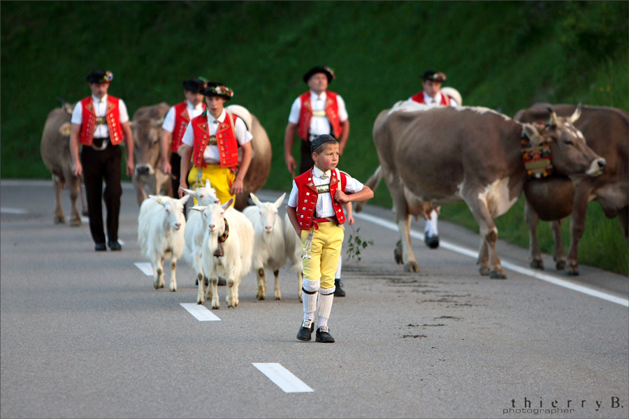 Alpaufzug Urnäsch-Schwägalp