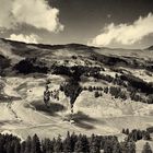 Alpbach | Österreich 