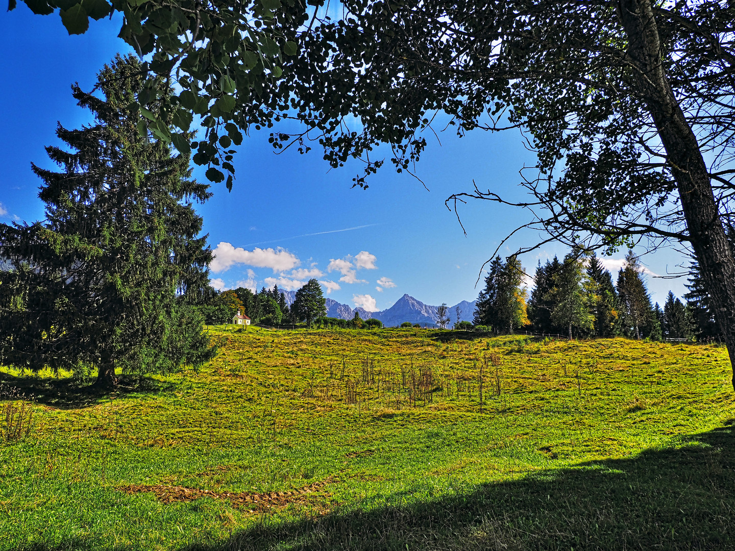 Alpblick