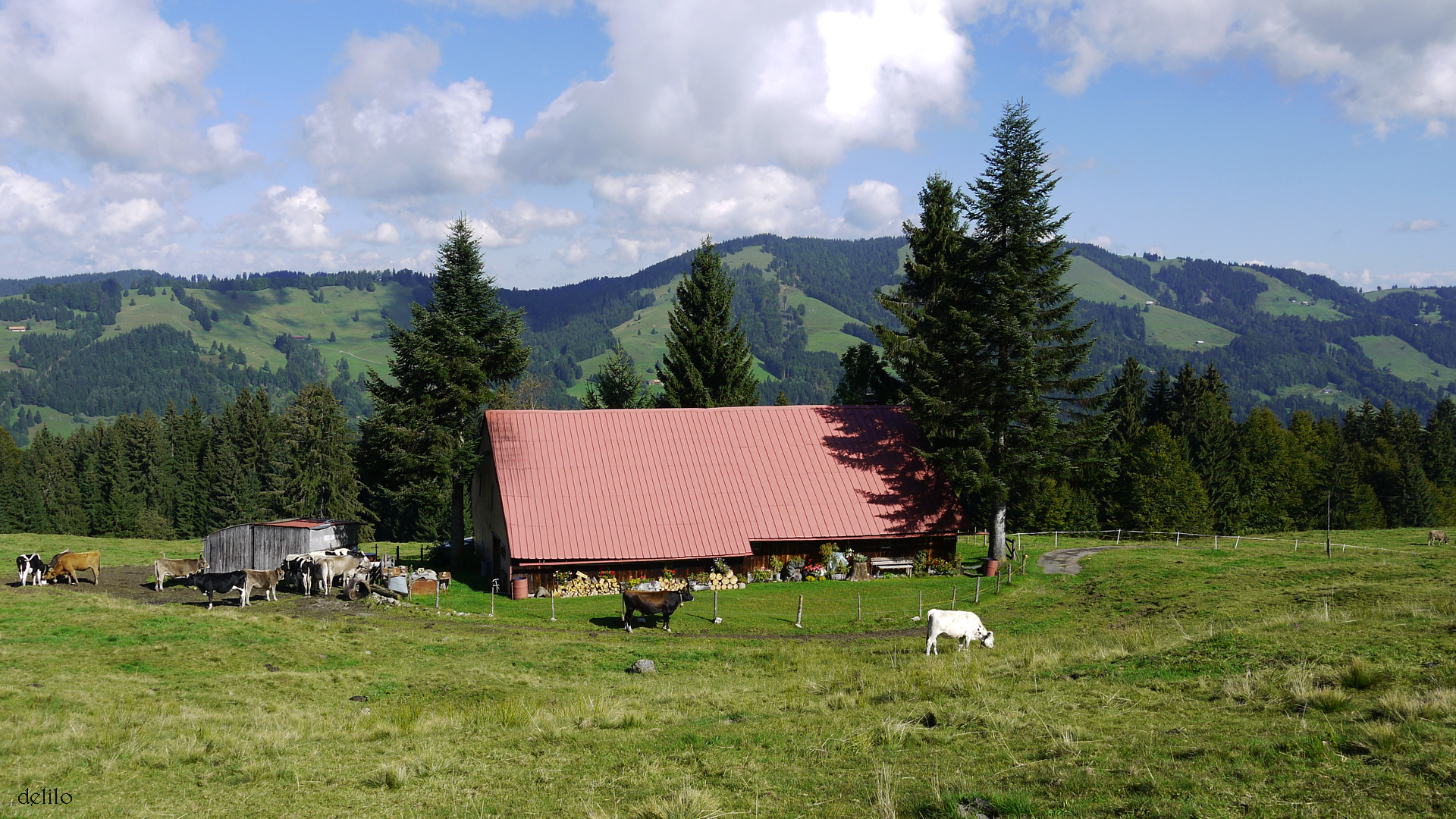 Alpe auf dem Hündle