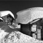 Alpe Bäll / Belalp