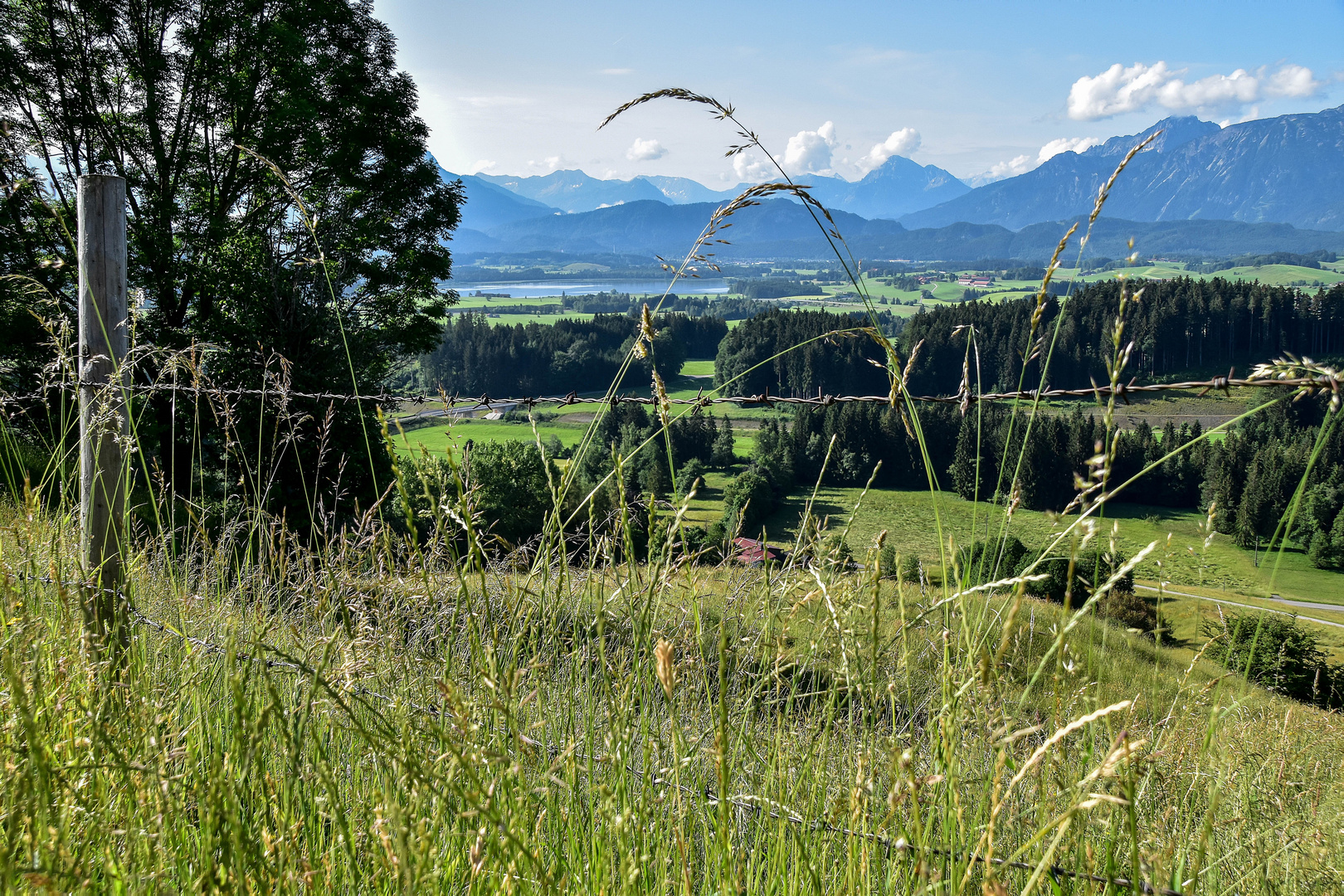 Alpe Beichelstein (1)