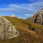 Alpe Bürstegg!