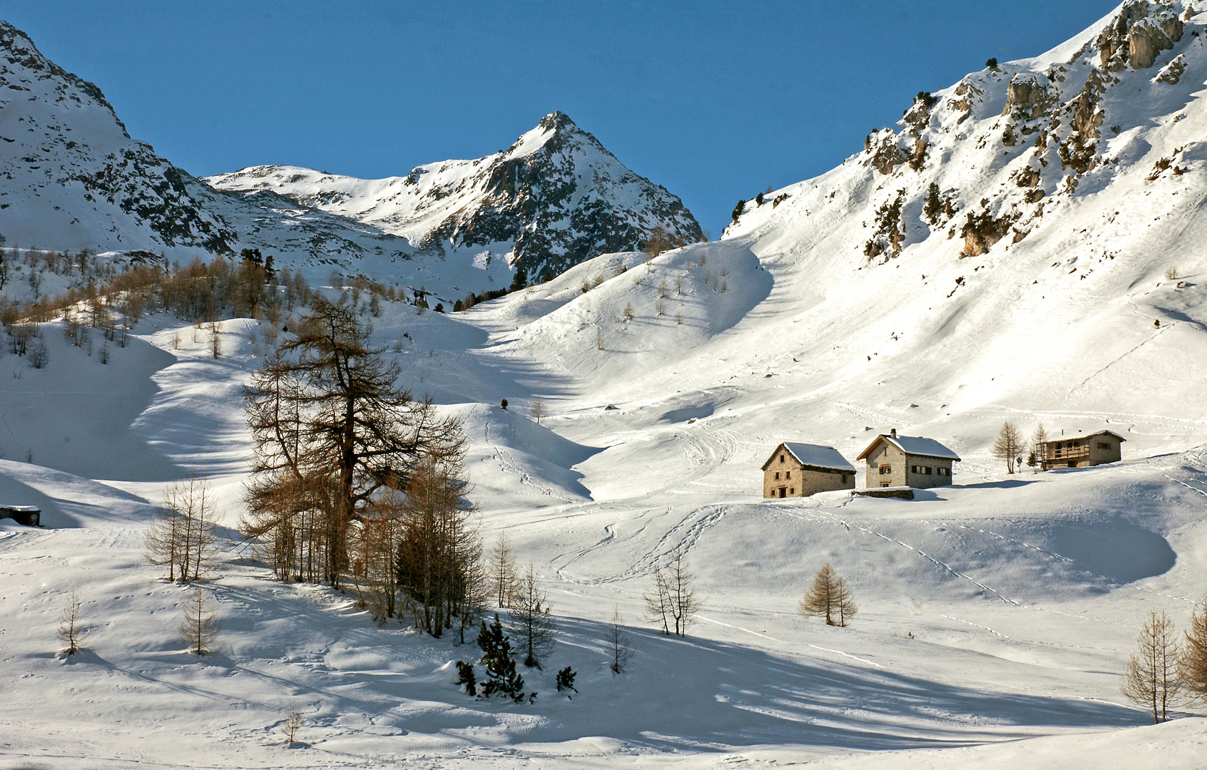  Alpe Casaccia -  Passo del Sole 