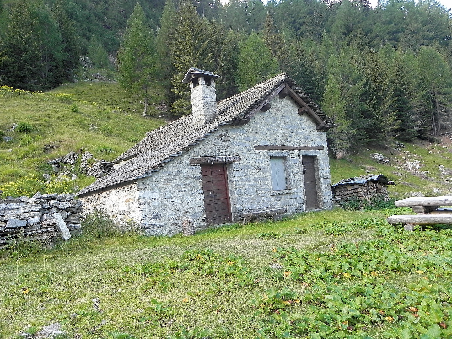 Alpe Del Böcc Valle D'Arbedo Ticino