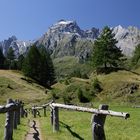 Alpe Devero