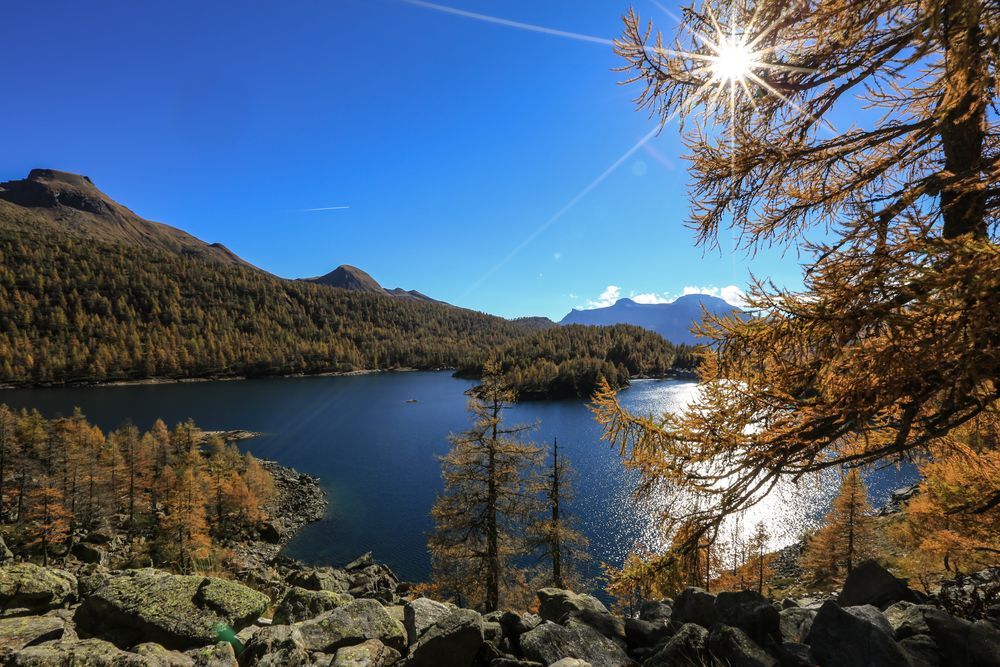 Alpe Devero (2)