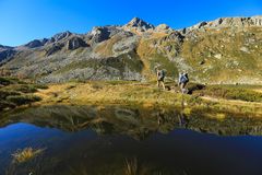 Alpe Devero (9)