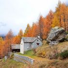 Alpe Devero