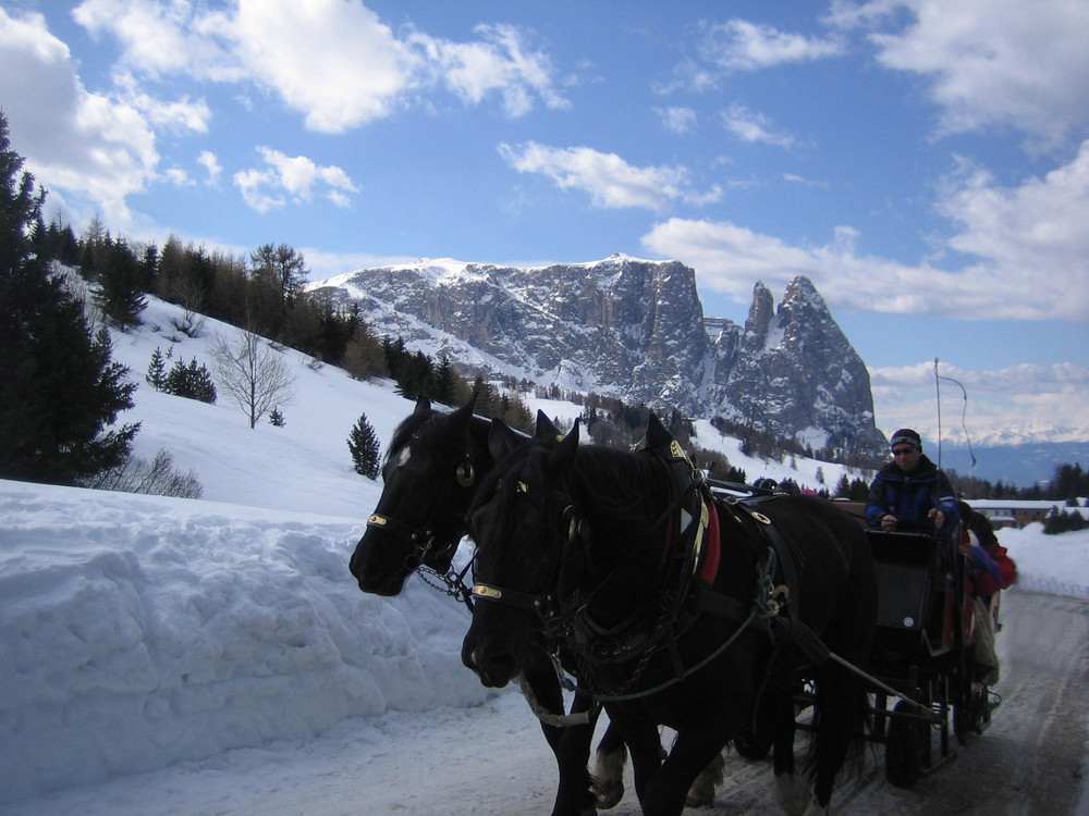 Alpe di Siusi