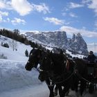 Alpe di Siusi