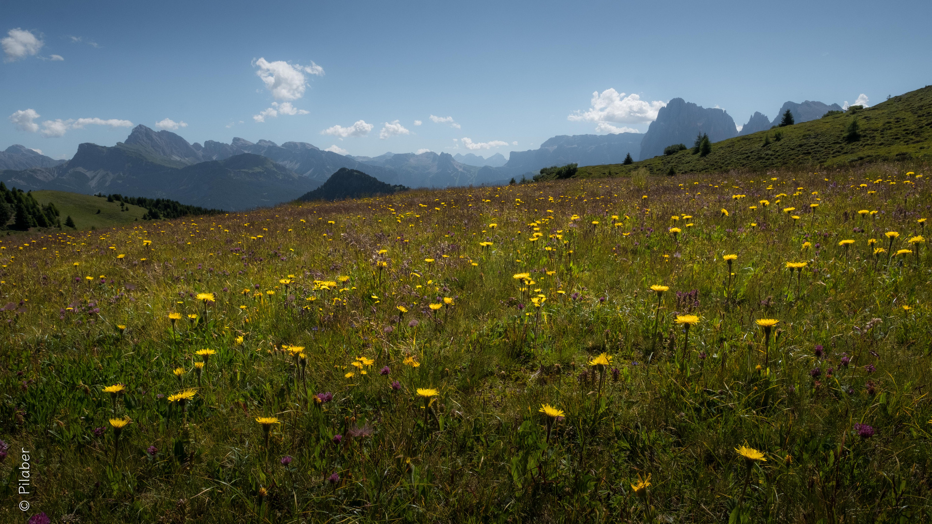 Alpe di Siusi