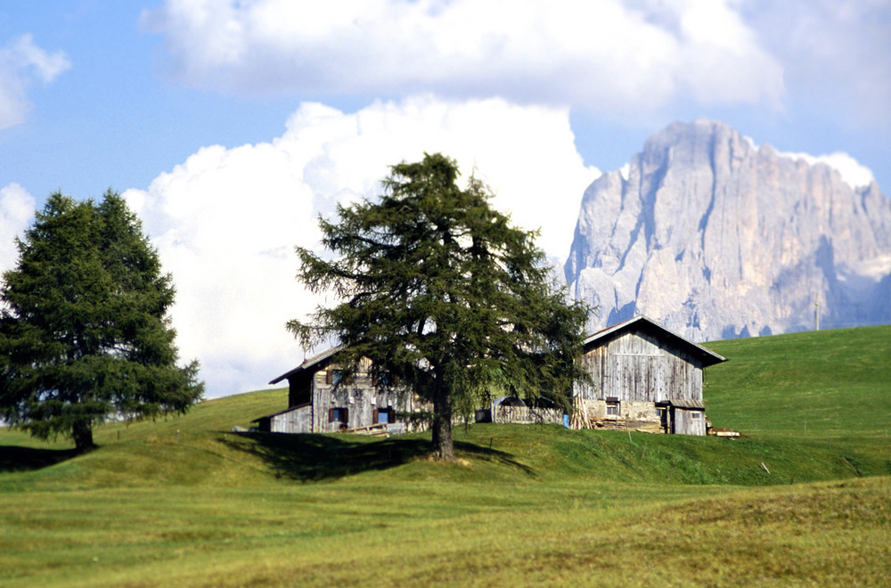 Alpe di Siusi.........................