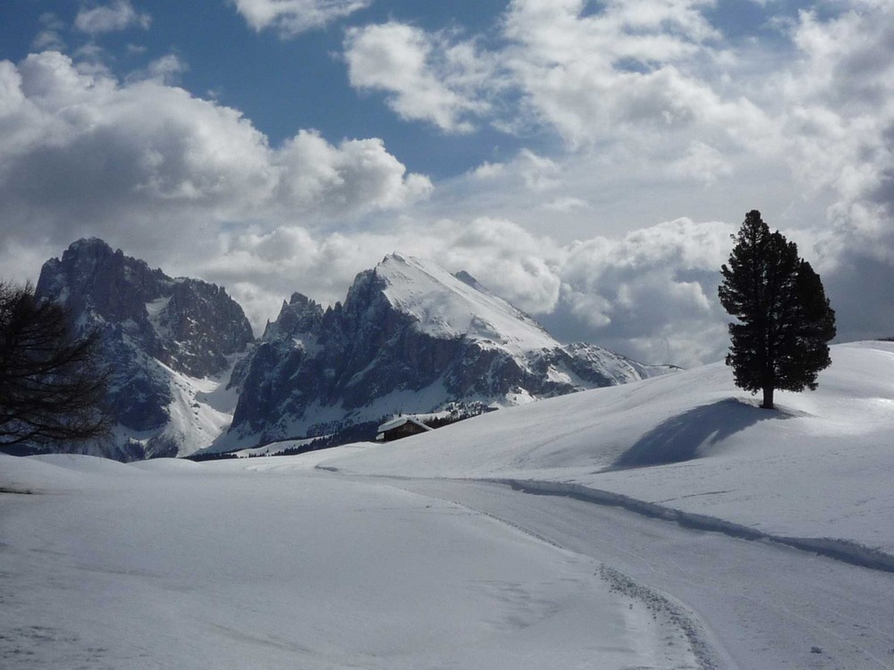 Alpe di Siusi 2