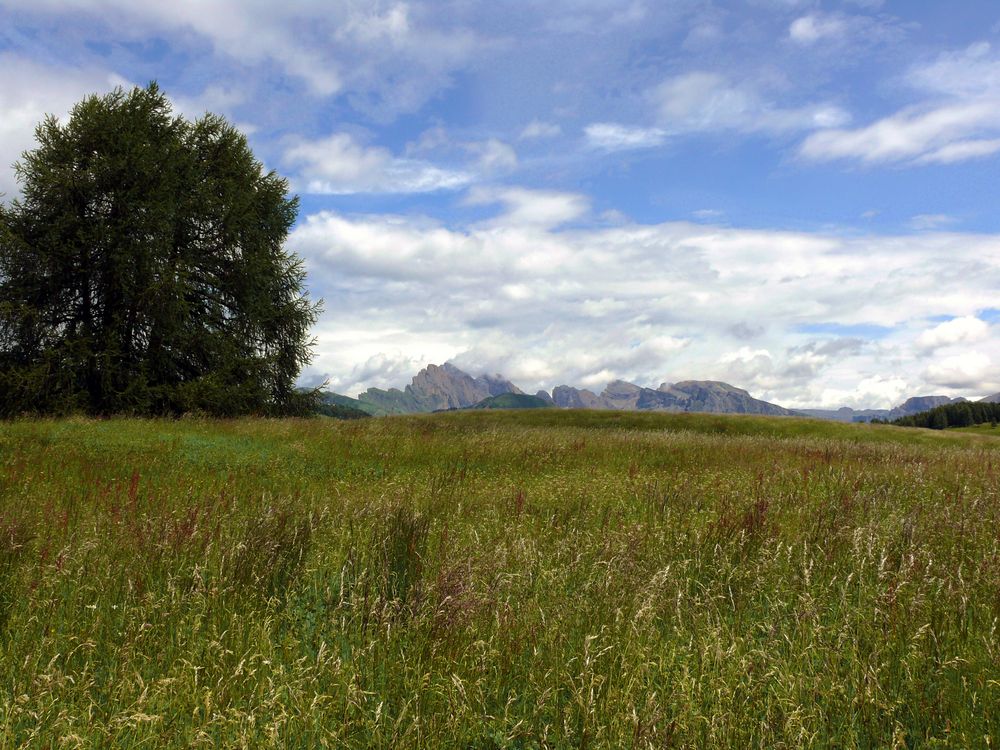 Alpe di Siusi