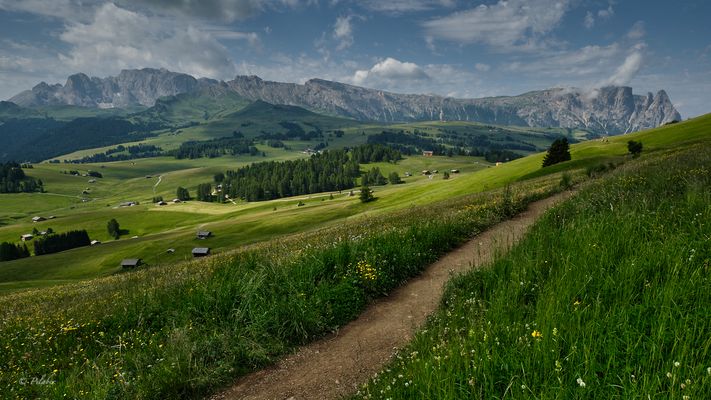 Alpe di Siusi