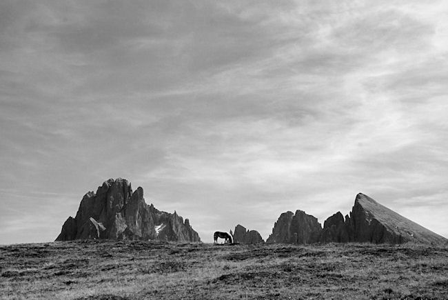 Alpe di Siusi