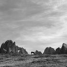 Alpe di Siusi