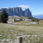 ALPE DI SIUSI