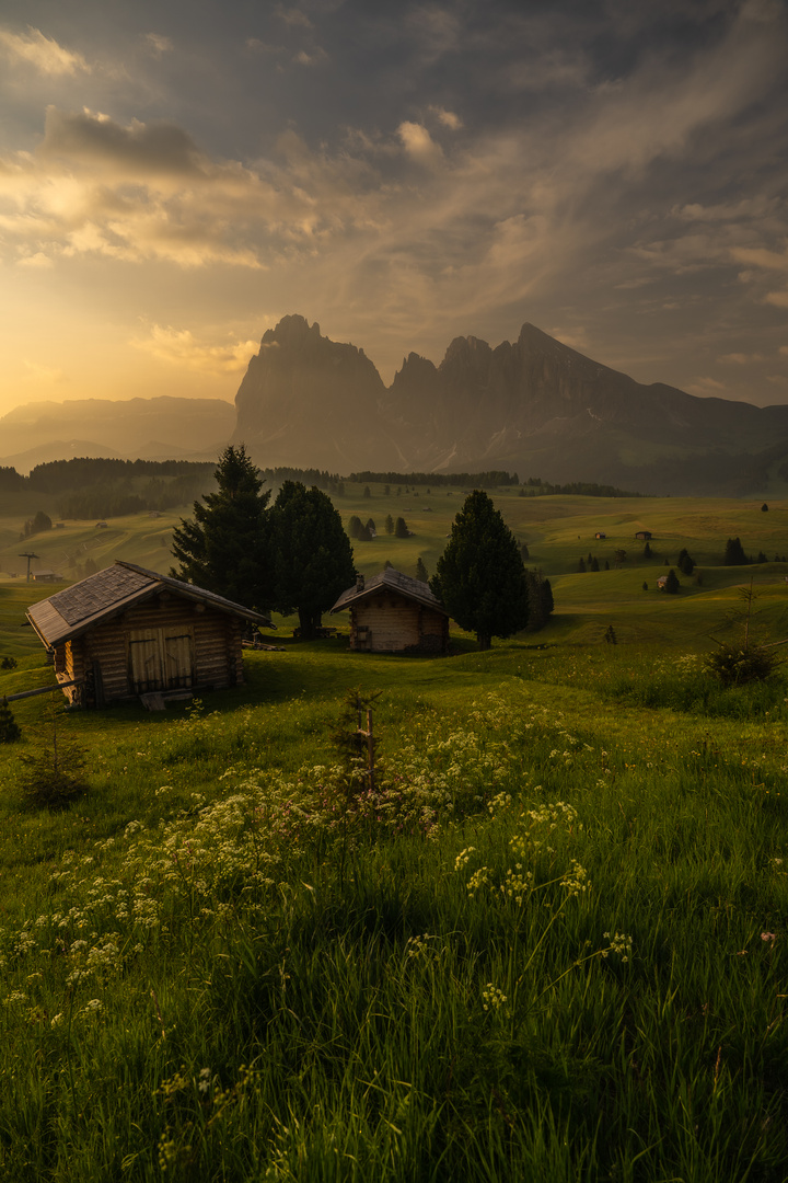  Alpe Di Siusi