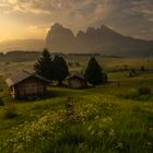  Alpe Di Siusi