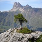 Alpe di Siusi