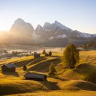 - Alpe di Siusi -