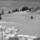 Alpe di Siusi