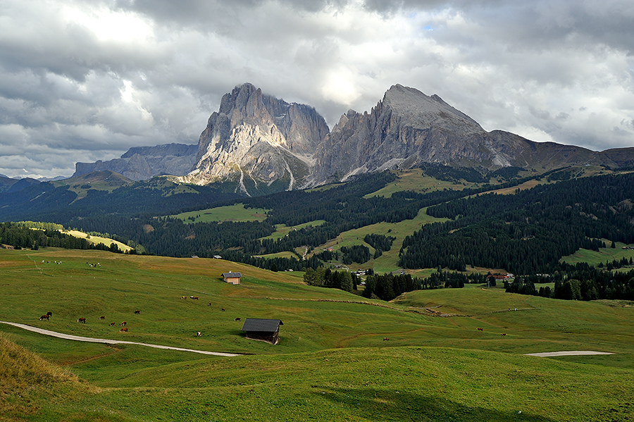 Alpe di Siusi