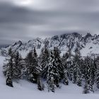 Alpe Nemes im Winter