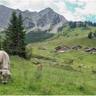 Alpe Steris 2021-08-12 Panorama 01