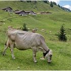 Alpe Steris 2021-08-12 Panorama 02