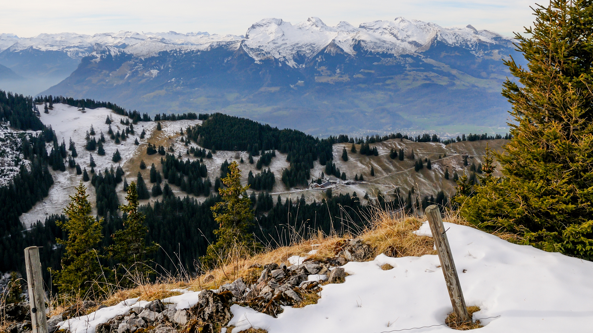 Alpe Sücka im Steg