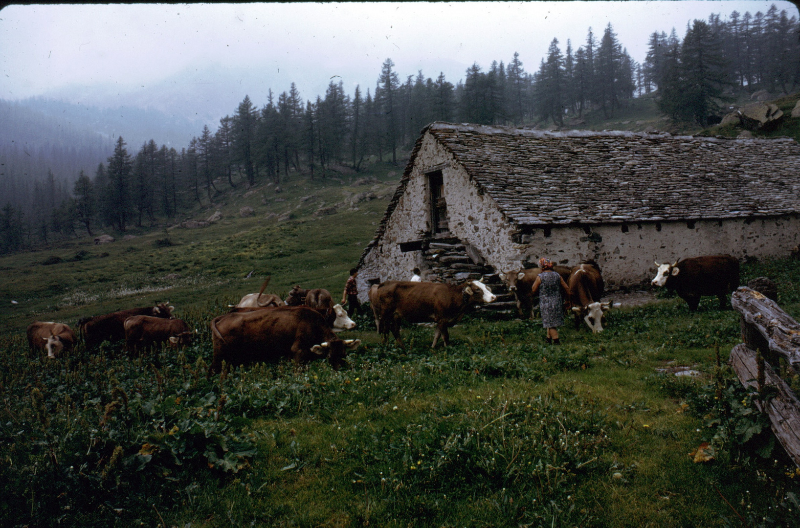 Alpe Veglia 