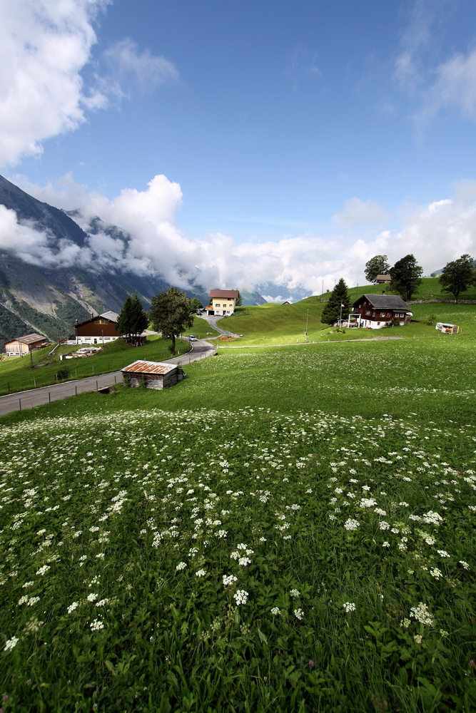 Alpemwiese in der Schweiz