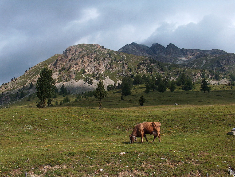 Alpen