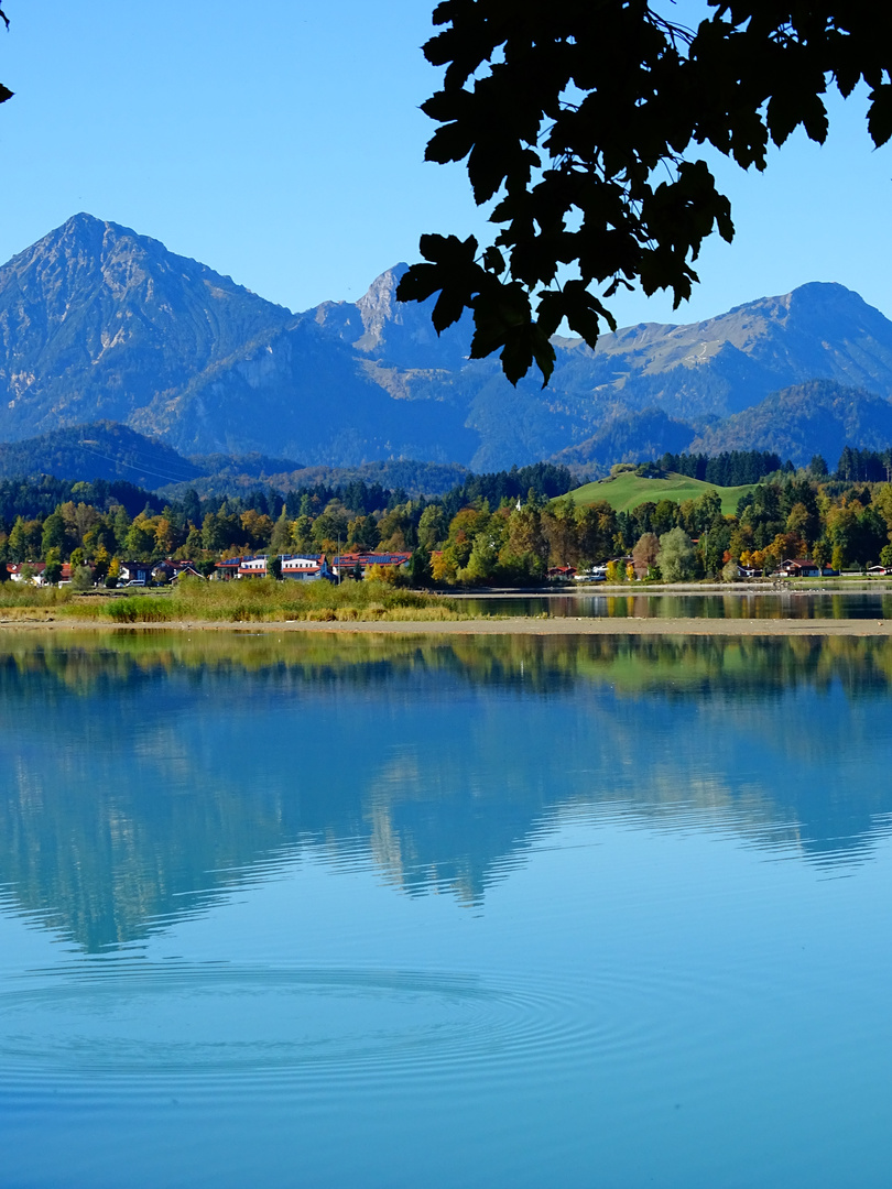 Alpen am Forggensee