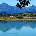 Alpen am Forggensee