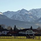 "Alpen bei Burgberg 3"