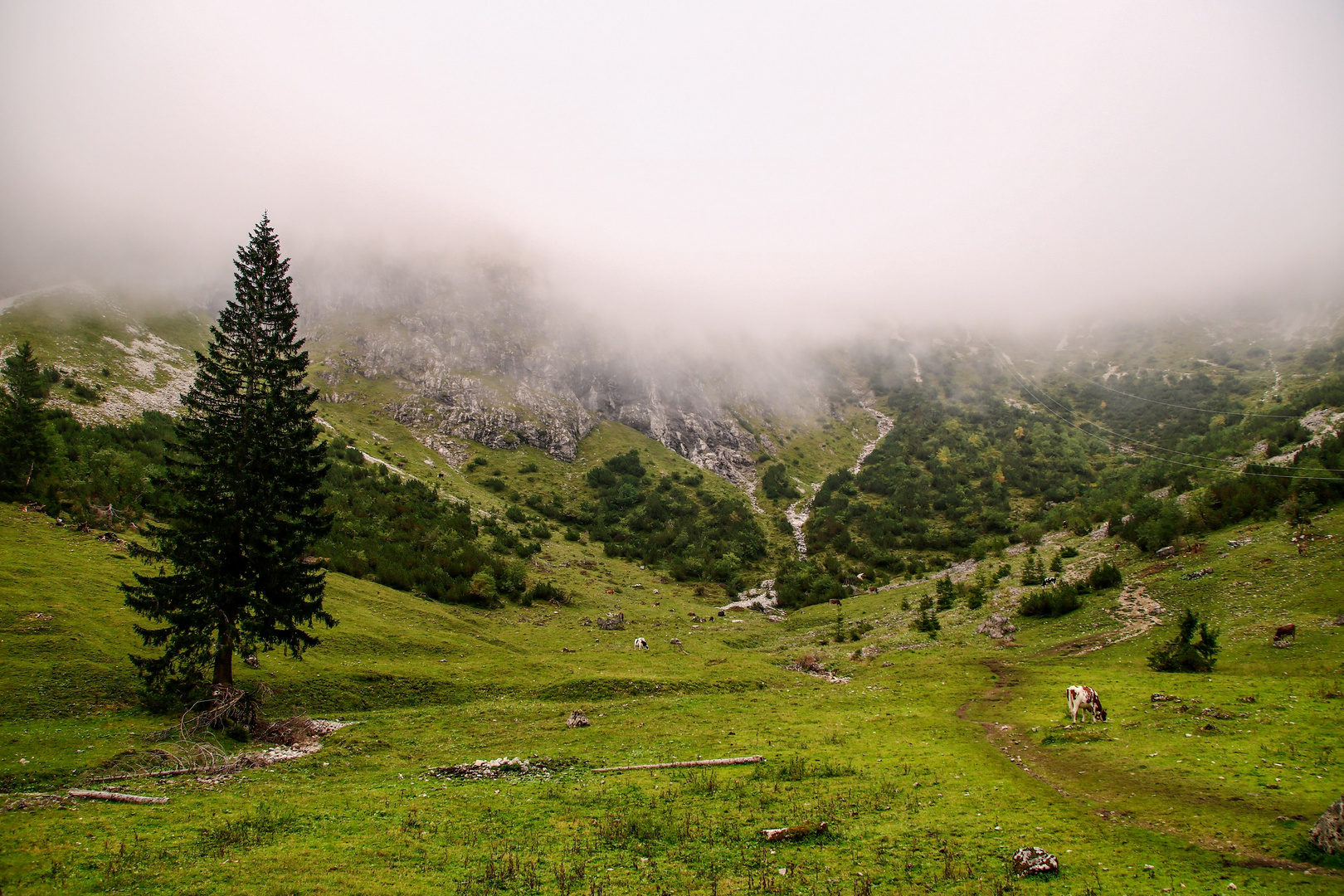 Alpen bei Hinterstein