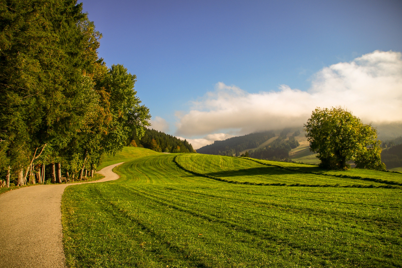 Alpen bei Jungholz