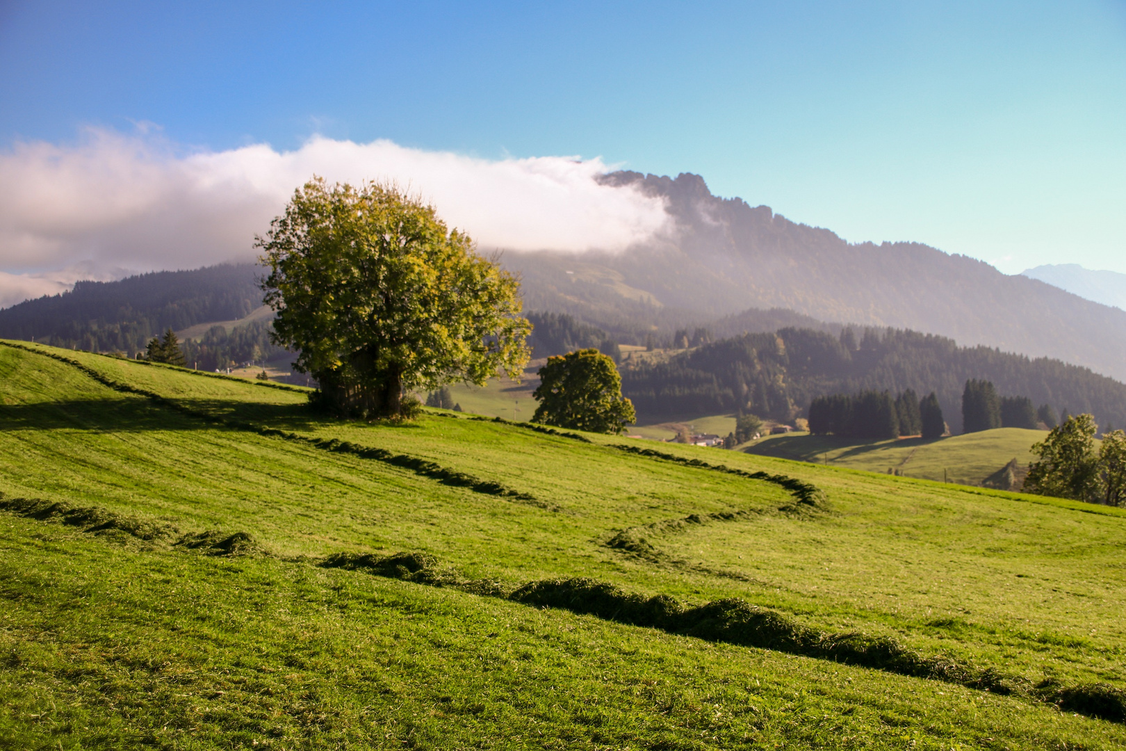 Alpen bei Jungholz II