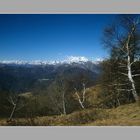 Alpen-Blick