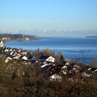 Alpen-Bodensee-Panorama