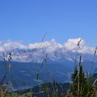 Alpen